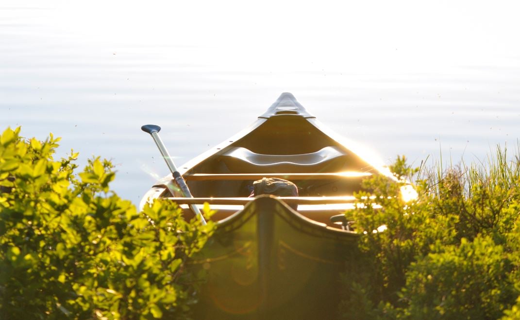 Longwood, FL cremations