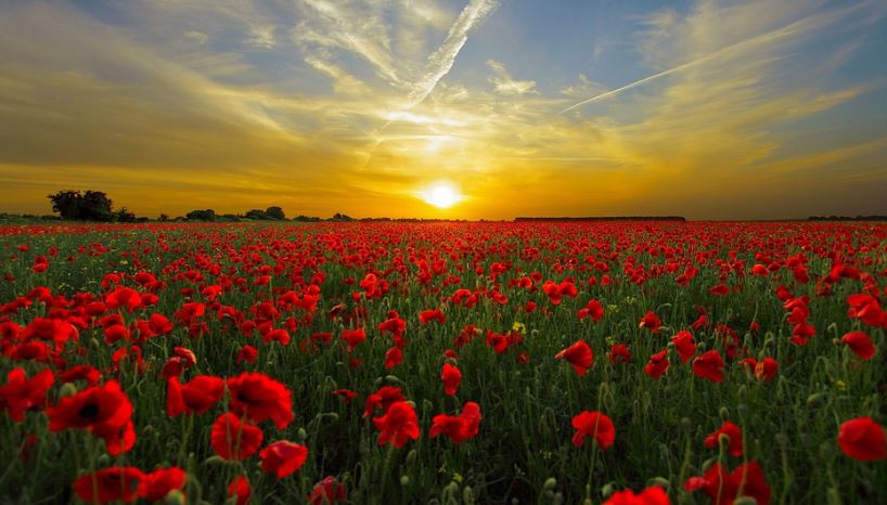 DeLand, FL cremation services