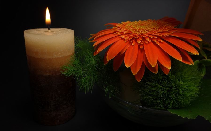cremation services in Daytona Beach, FL