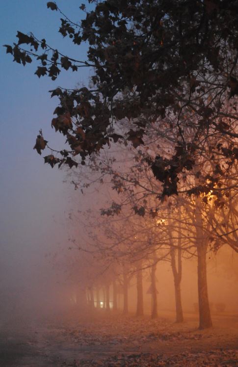 cremation services in Orlando, FL