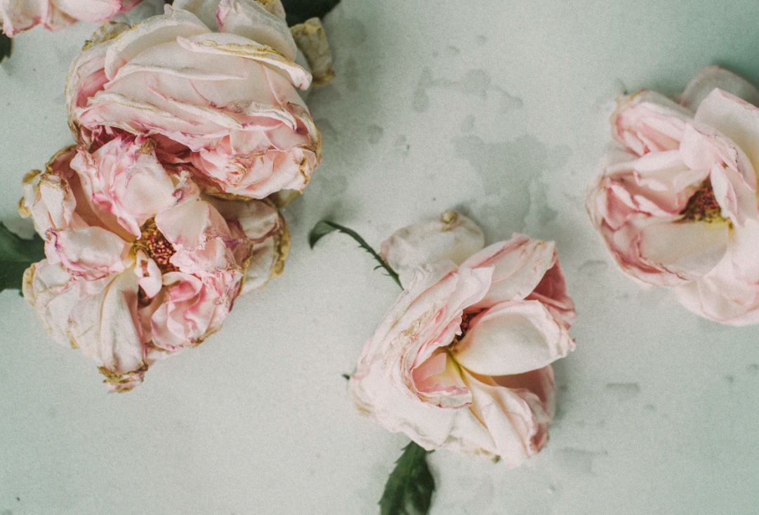 cremation services in Daytona Beach, FL