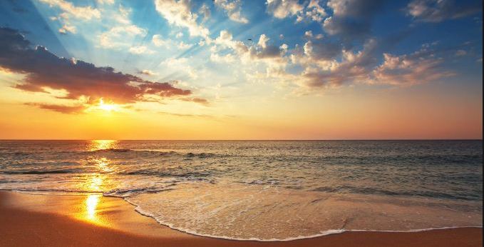cremation services in Daytona Beach, FL