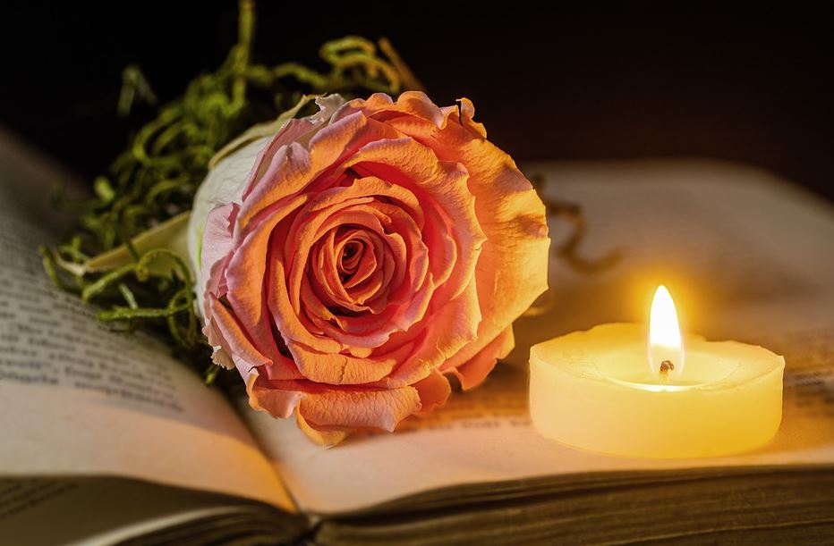 cremation services in Orlando, FL