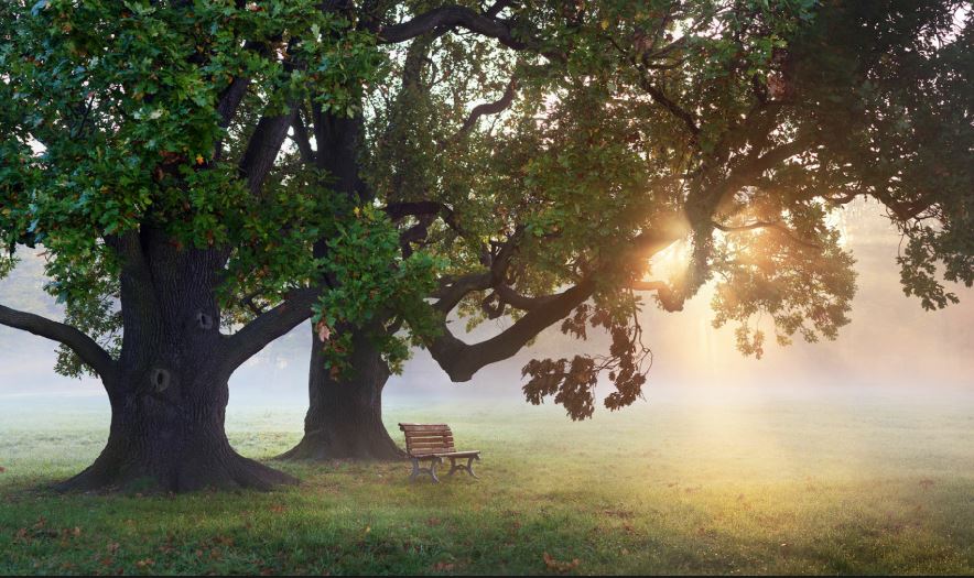 cremation service is in Daytona Beach, FL