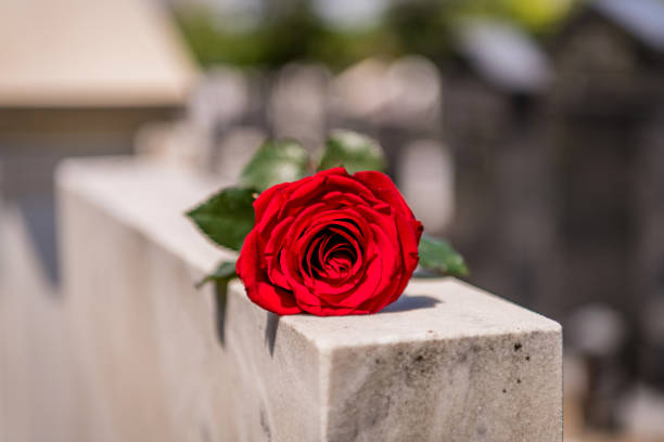 cremation services in Daytona Beach, FL