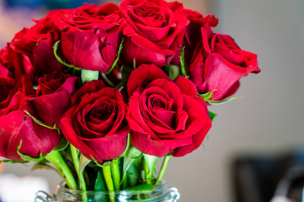 cremation services in Orlando, FL