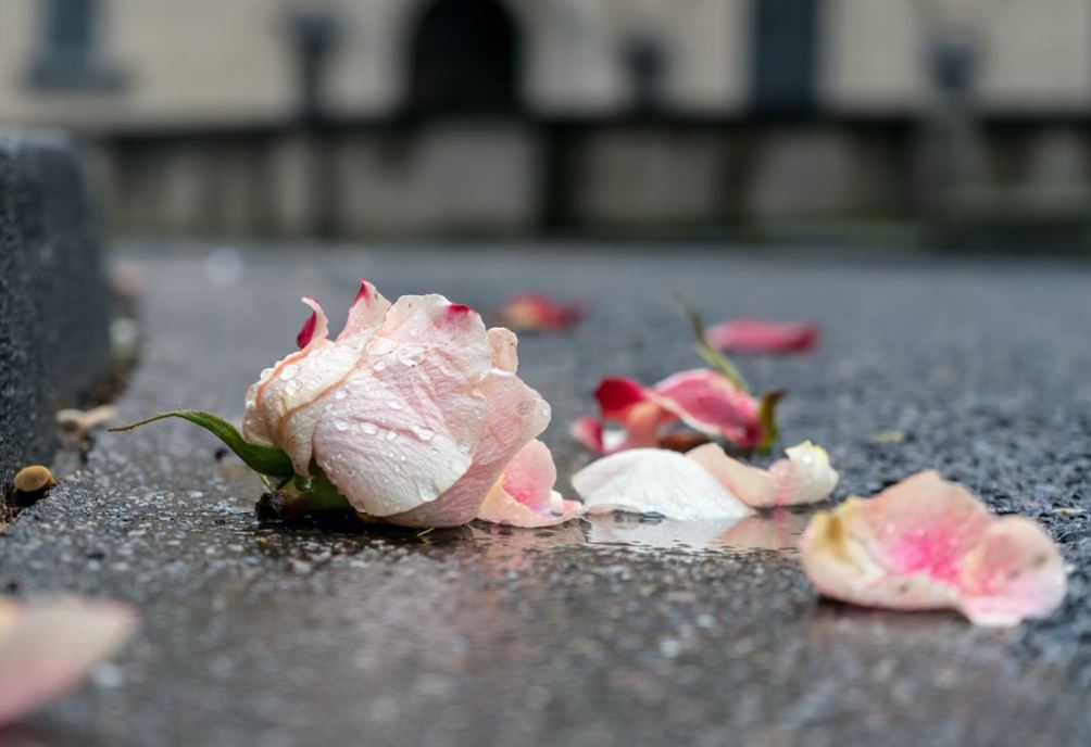 cremation services in Orlando, FL