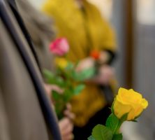 cremation service in Orlando, FL