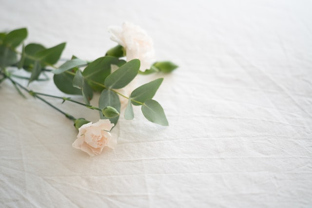 cremation services in Orlando, FL
