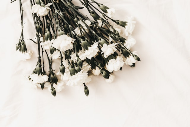 cremations services in Orlando