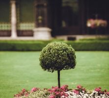cremation service in Daytona Beach