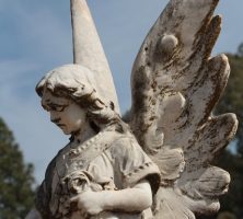 cremation service in Daytona Beach, FL