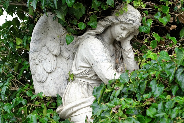 cremation services in Daytona Beach