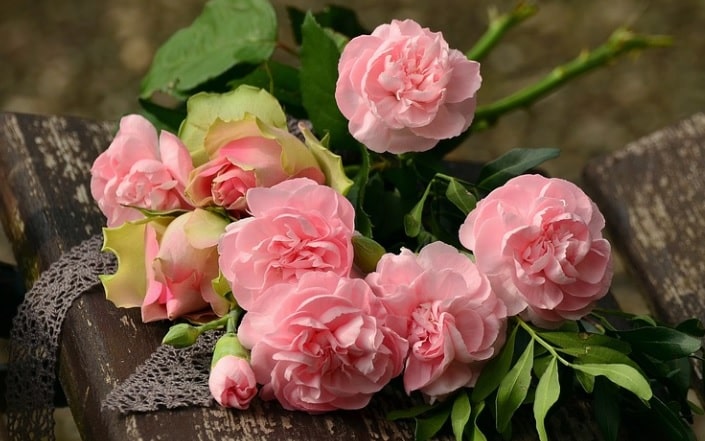 Daytona Beach, FL cremation