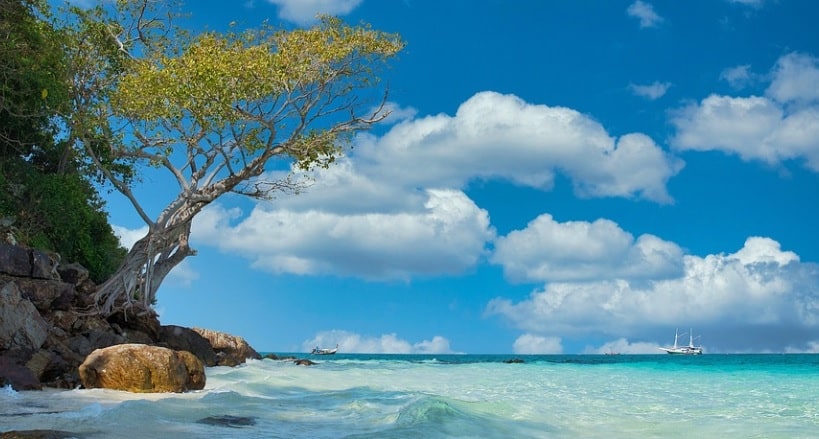 Daytona Beach, FL cremation services