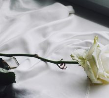 Orange City, FL cremation services