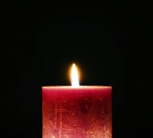 DeLand, FL cremation services