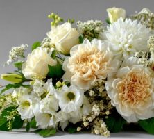 Deltona, FL cremations