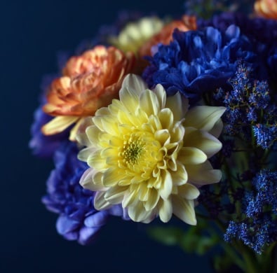 Deltona, FL cremations